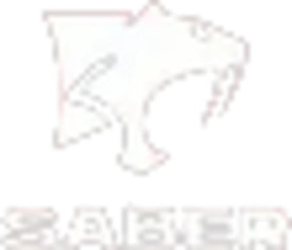 Saber